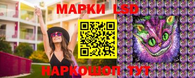 крисы Коммунар
