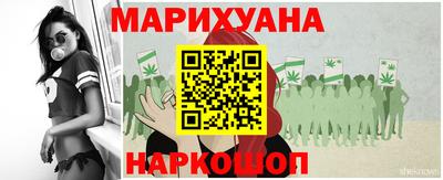 крисы Коммунар