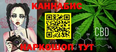 крисы Коммунар