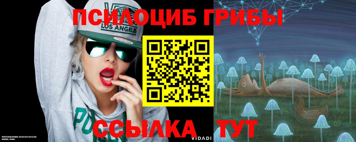 купить наркотик  Вход с VPN  Псилоцибиновые грибы Magic Shrooms  Кольчугино  Галлюциногенные грибы Cubensis 