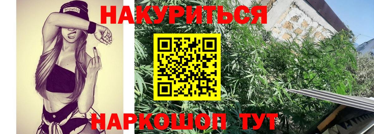 Конопля гибрид  Вход с VPN  Конопля Amnesia  Кольчугино 